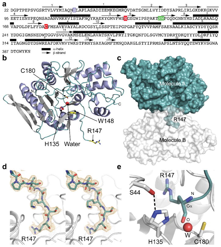 Activation of Bacteroides fragilis toxin by a novel bacterial protease ...