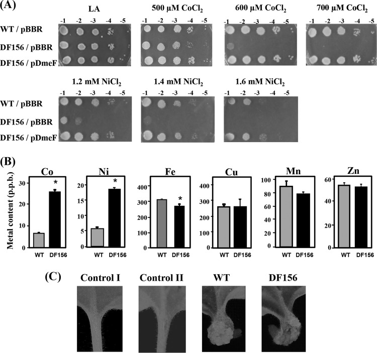 FIG 3