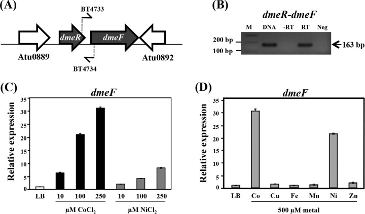 FIG 1