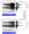Figure 2—figure supplement 3.