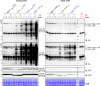 Figure 1—figure supplement 4.