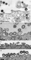 FIG. 5.