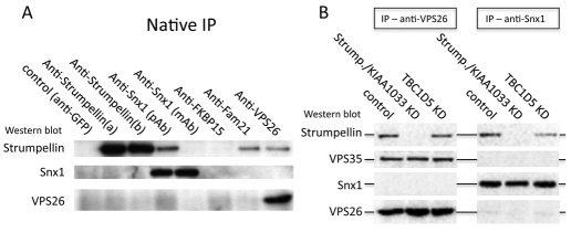 Fig. 9.