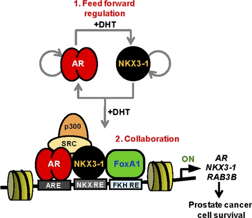 Fig 7