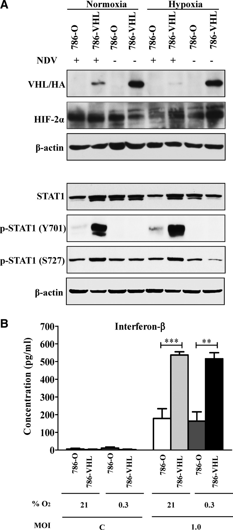 FIG. 5.