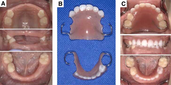 Fig. 4