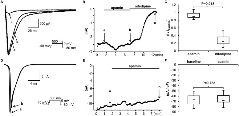 Figure 7