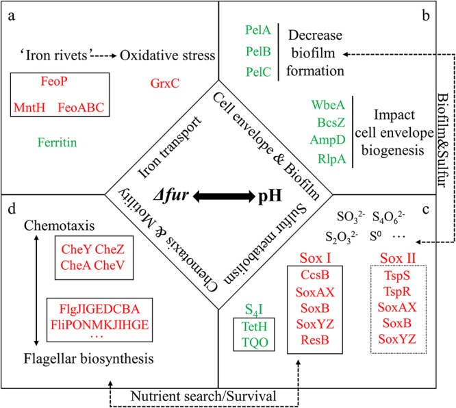 FIG 7