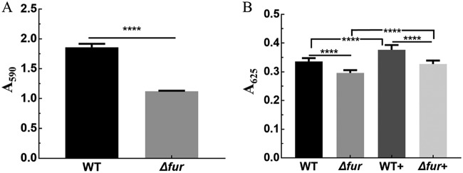 FIG 6