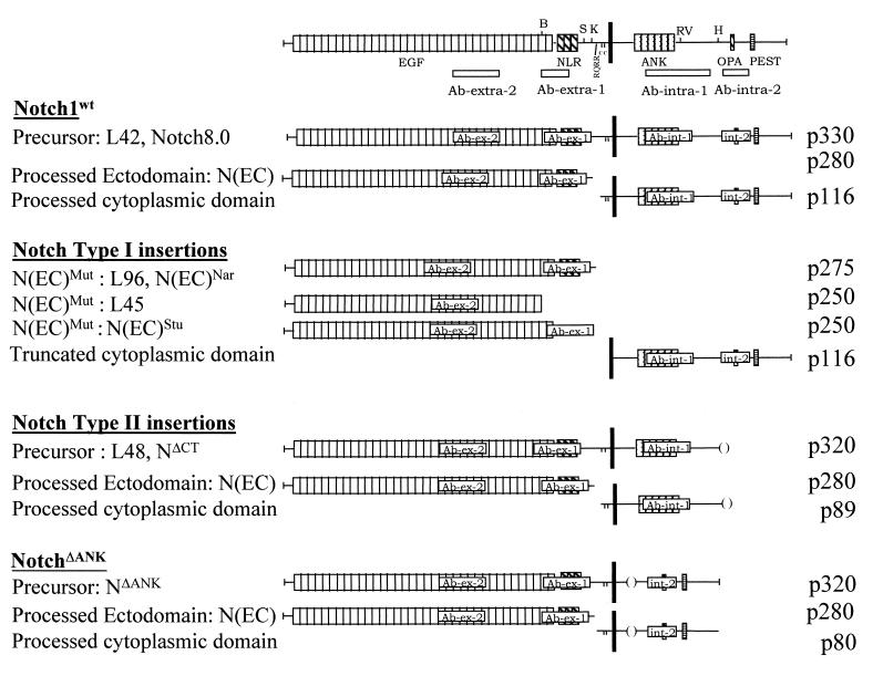 FIG. 7