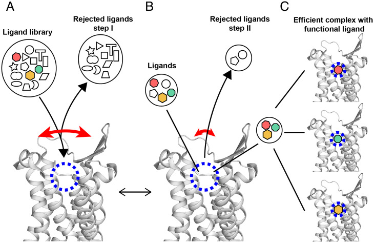 Fig. 4.