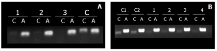 Figure 5. 