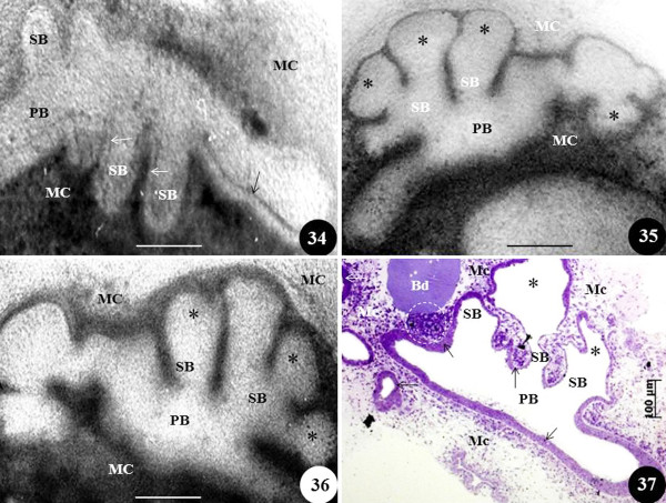 Figure 10 