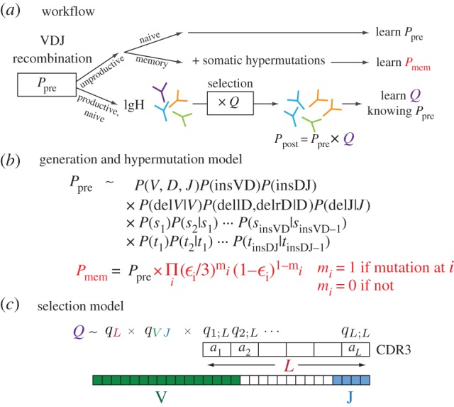 Figure 1.