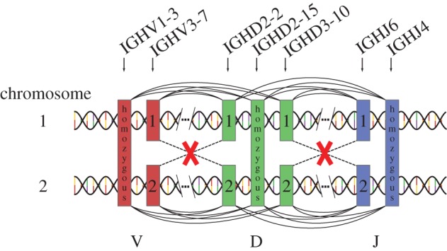 Figure 2.