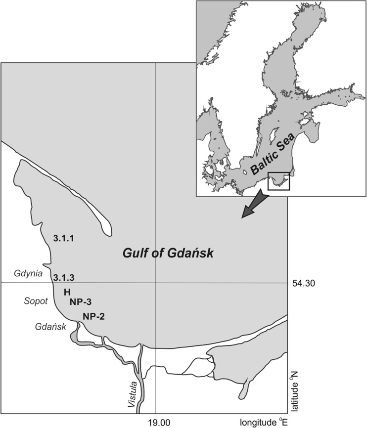 Fig. 1