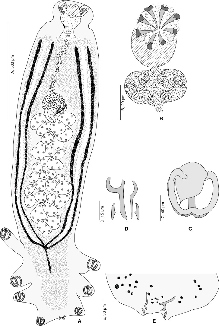 Fig. 1