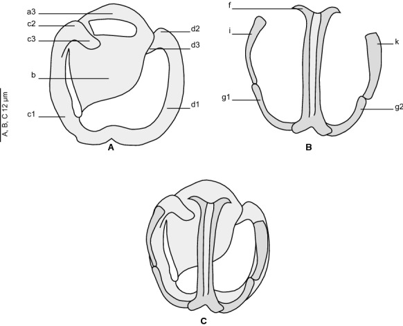 Fig. 4