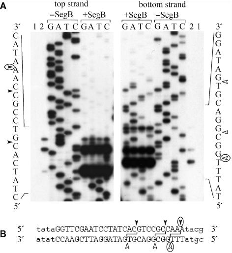 Figure 5.