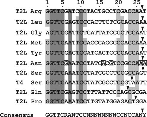 Figure 7.