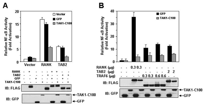 FIGURE 3