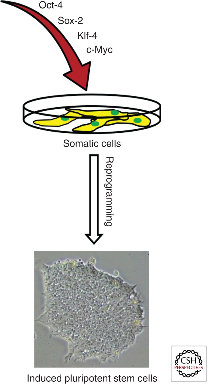 Figure 2.