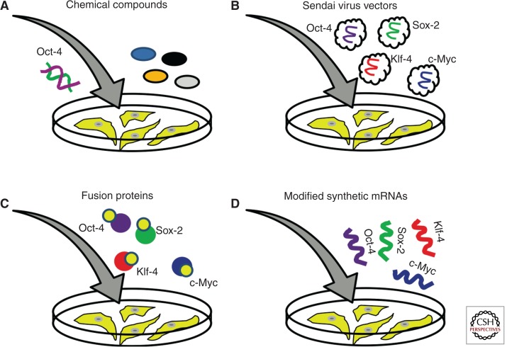 Figure 3.