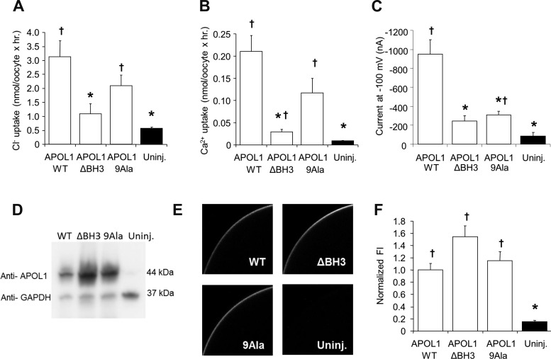 Fig. 9.