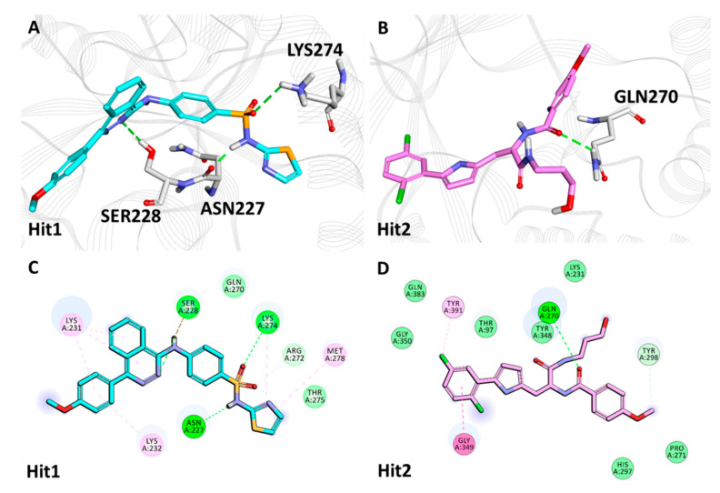 Figure 6