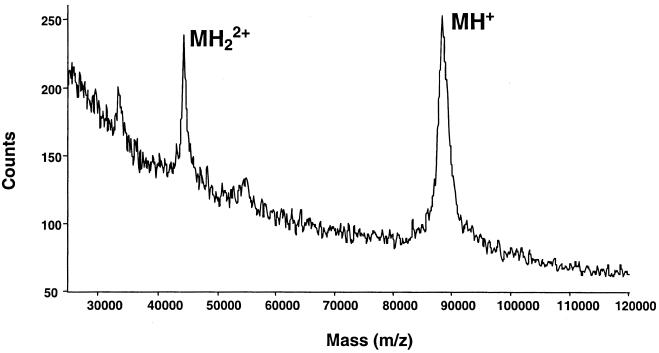 FIG. 1