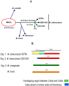 Fig 8