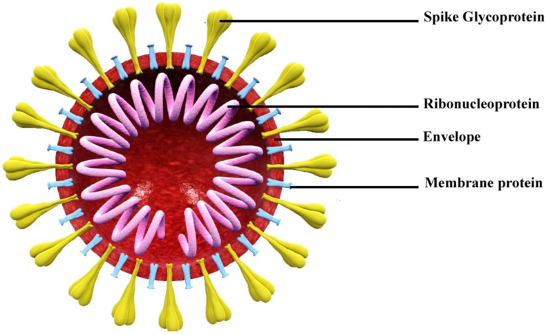 Fig. 2