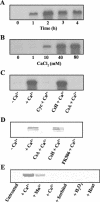 FIG. 4.