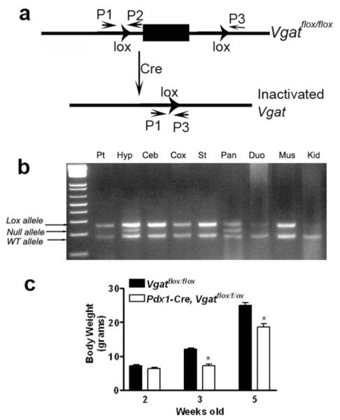 FIG. 5