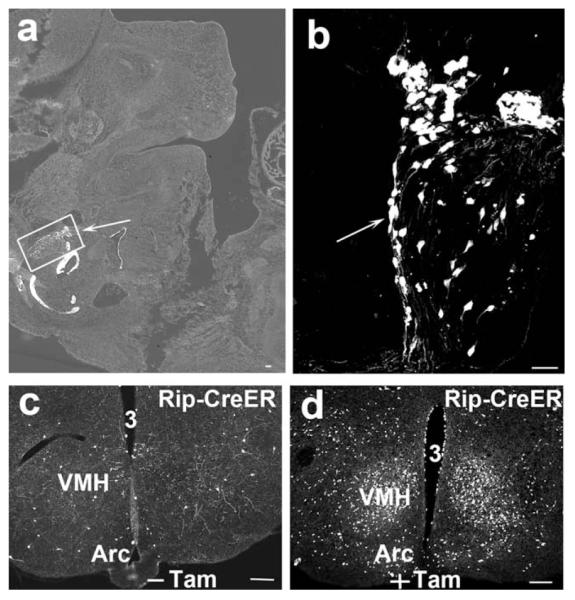 FIG. 6