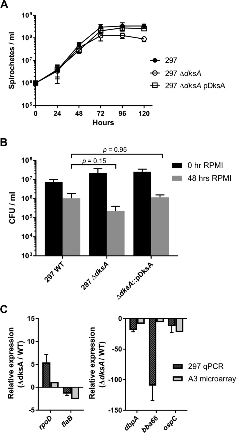 FIG 6