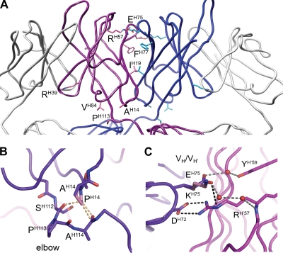 FIG. 4.