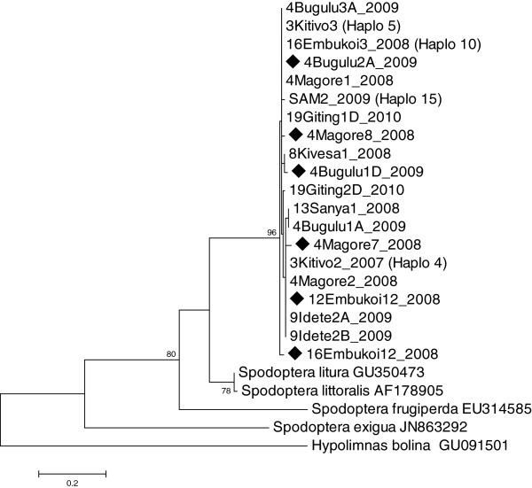 Figure 5