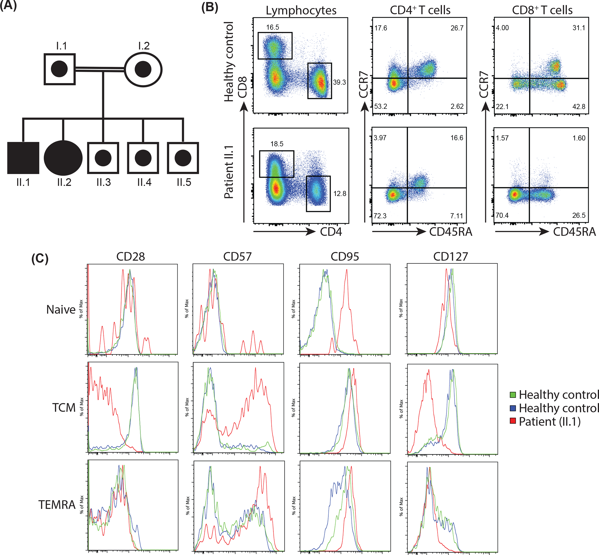 Figure 1: