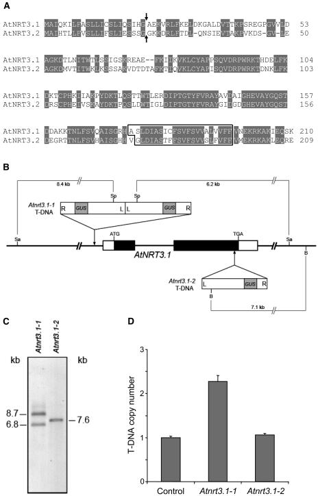 Figure 1.