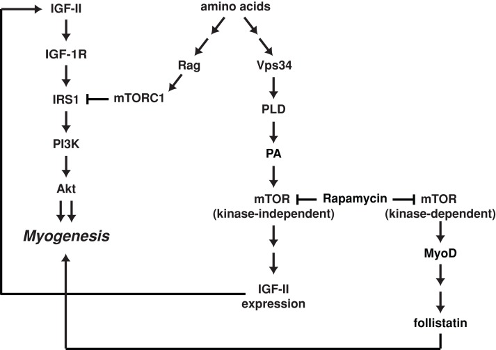 FIGURE 9: