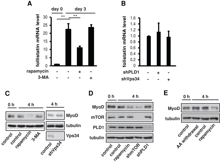 FIGURE 6: