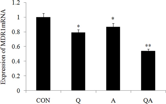 Fig 2