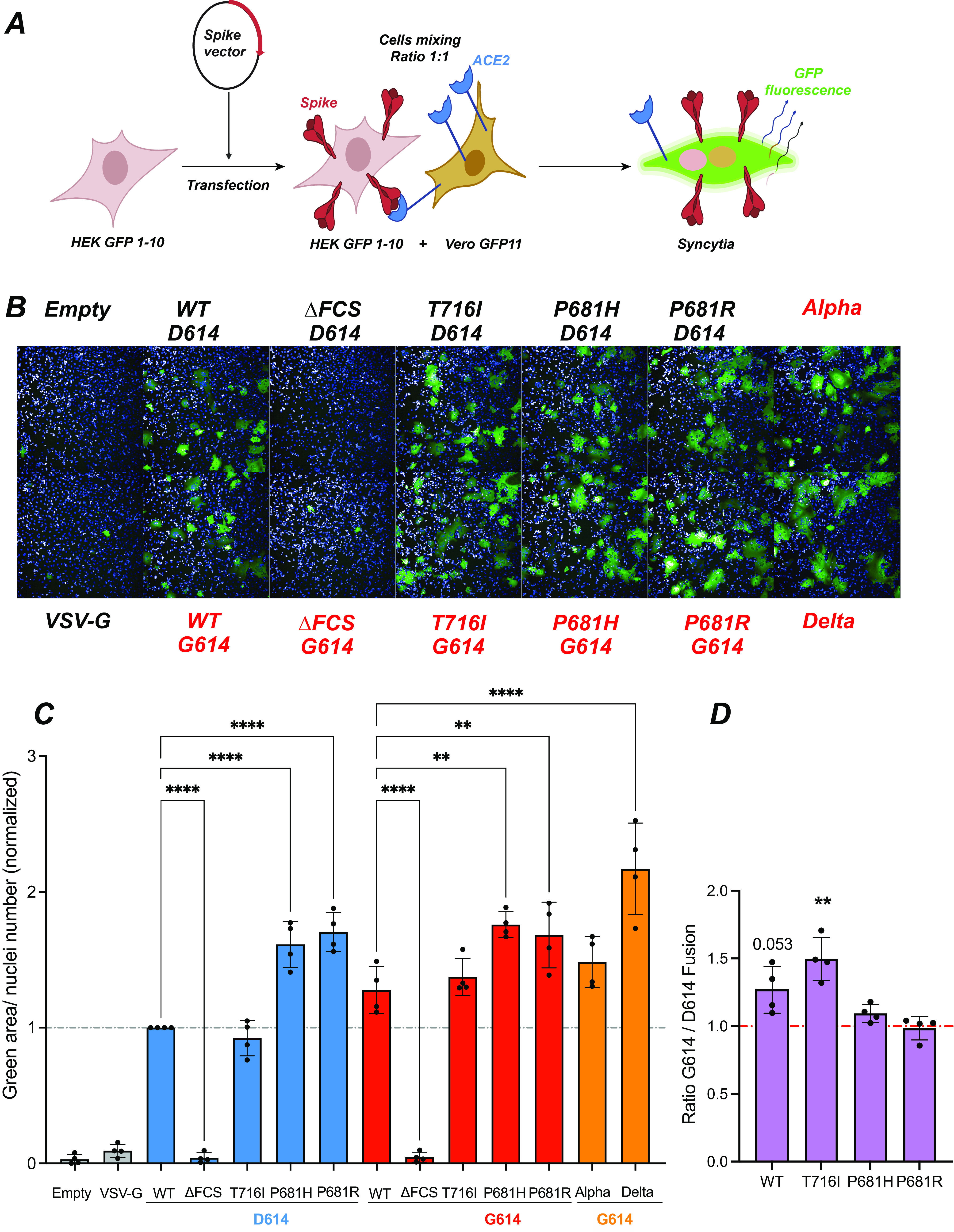 FIG 4