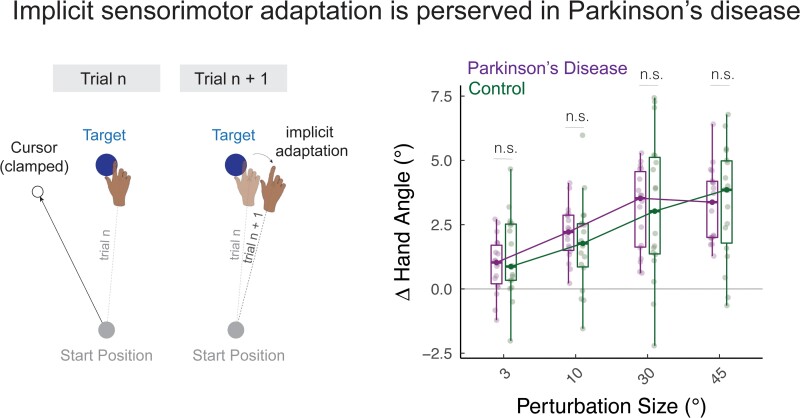 Graphical Abstract