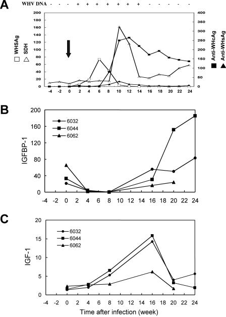 FIG. 8.