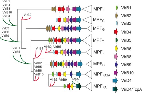 Figure 6.