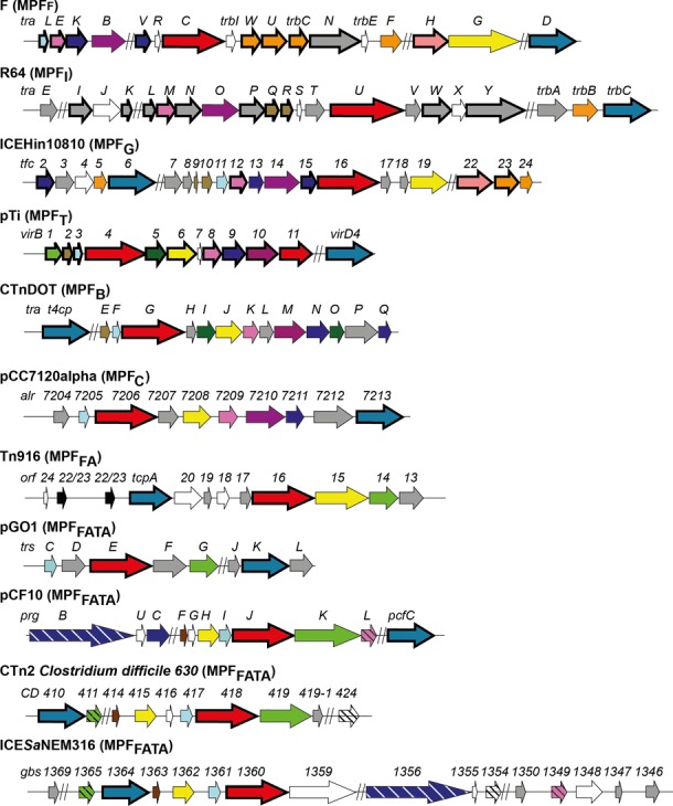 Figure 4.