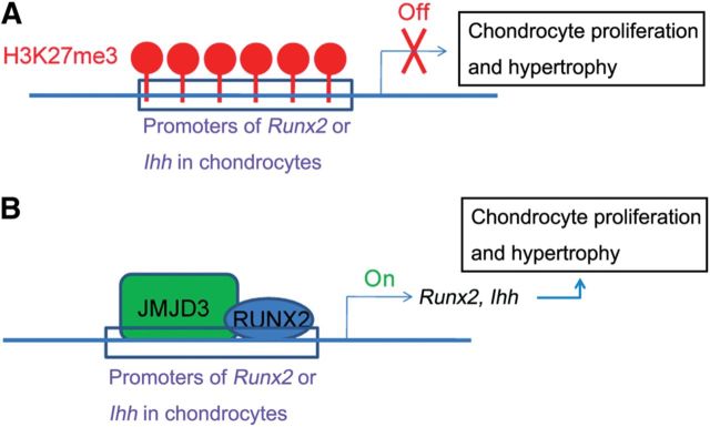 Figure 7