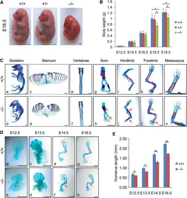 Figure 2